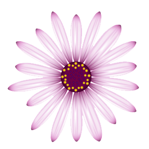 flower-01