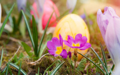 Frohe Ostern von Herzen